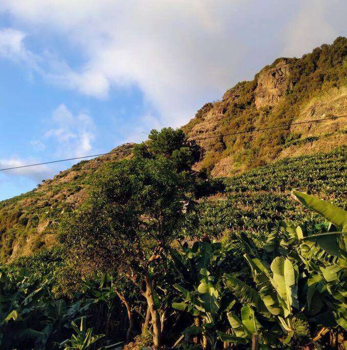 Anjos's Choice Ponta do Sol (Madeira) Exterior foto