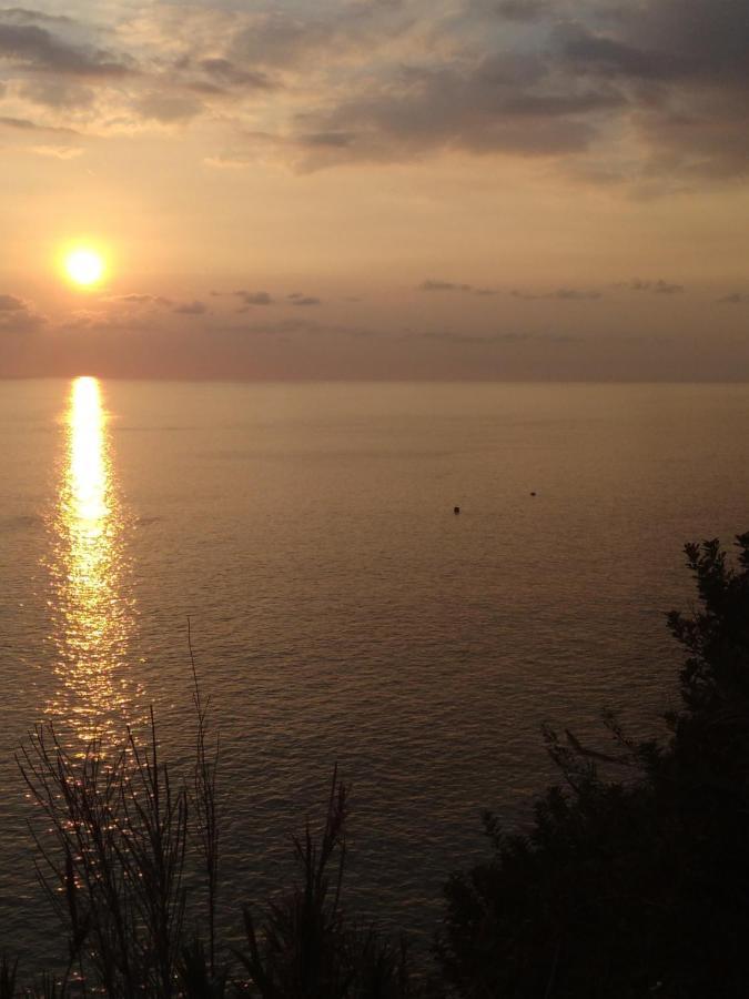 Anjos's Choice Ponta do Sol (Madeira) Exterior foto